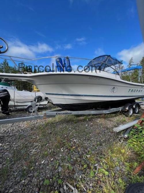 Bayliner Trophy Walkaround opinión y ficha técnica